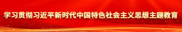 看看免费操逼视频网站大全套学习贯彻习近平新时代中国特色社会主义思想主题教育